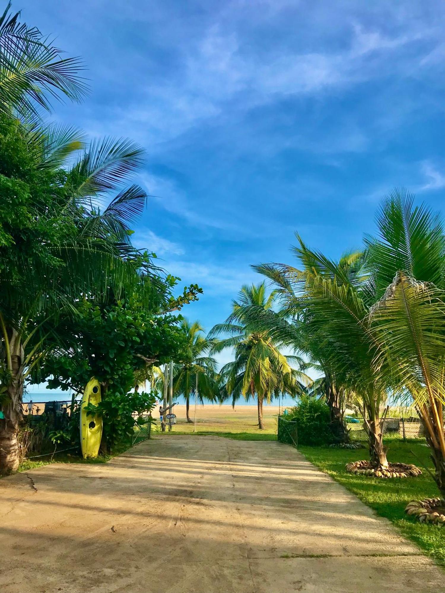 Aqua Marine Beach Hotel Kalkudah  Kültér fotó